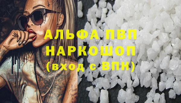 индика Инсар