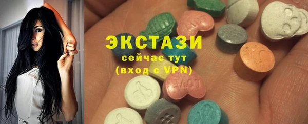 индика Инсар