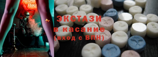 индика Инсар