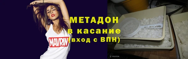 индика Инсар