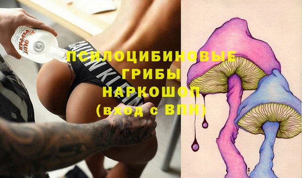 ГАЛЛЮЦИНОГЕННЫЕ ГРИБЫ Иннополис