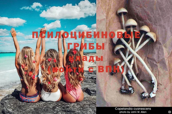 jwh Инта