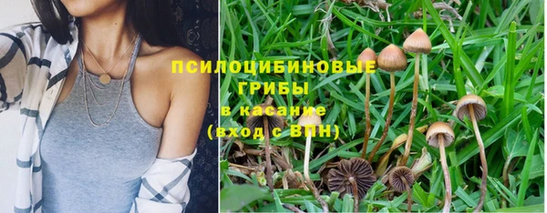 ГАЛЛЮЦИНОГЕННЫЕ ГРИБЫ Иннополис