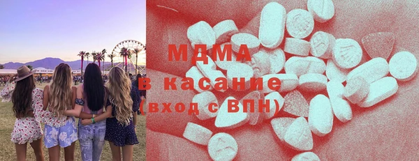 индика Инсар