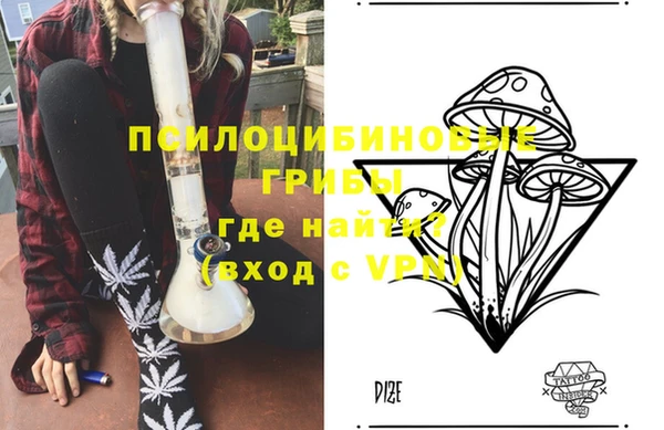 ГАЛЛЮЦИНОГЕННЫЕ ГРИБЫ Иннополис