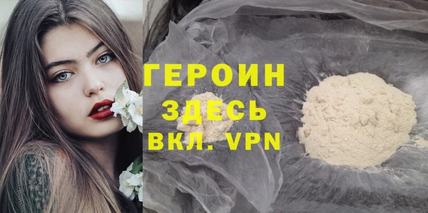 индика Инсар
