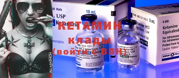 индика Инсар