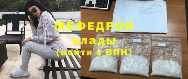индика Инсар