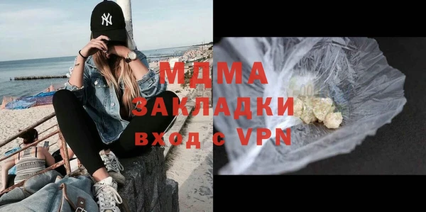 индика Инсар
