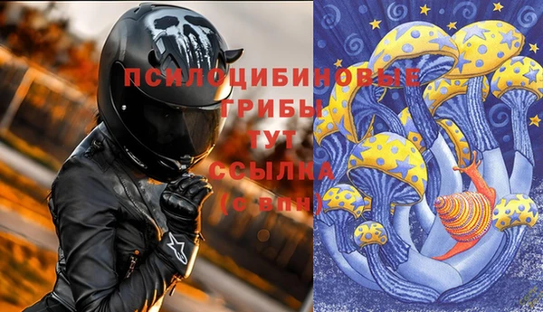 индика Инсар