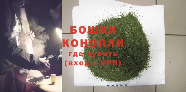 ГАЛЛЮЦИНОГЕННЫЕ ГРИБЫ Иннополис