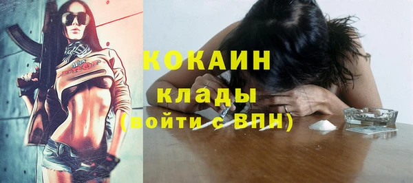 индика Инсар