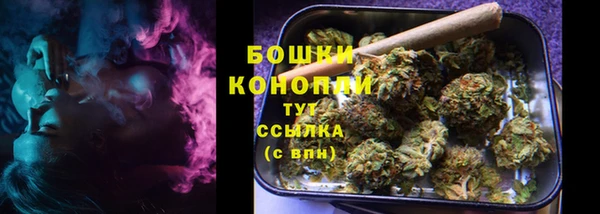 индика Инсар