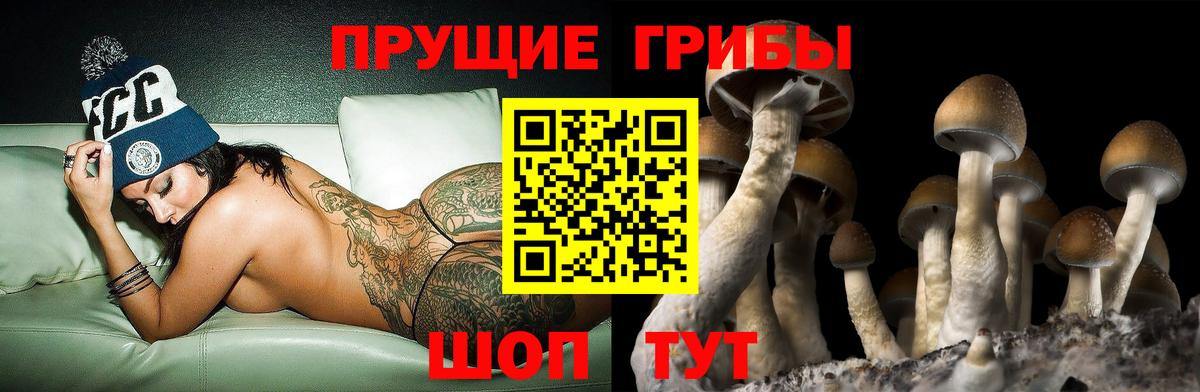 Галлюциногенные грибы GOLDEN TEACHER  наркотики  Ачинск 